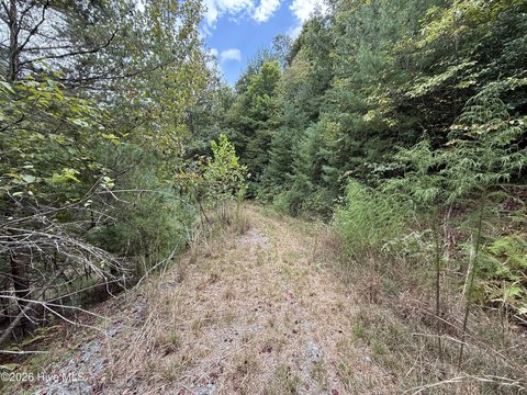 Land, Murphy, NC