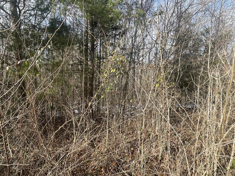 Picture 13