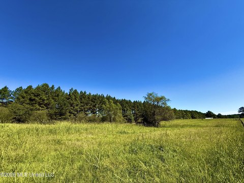 Land, Morton, MS