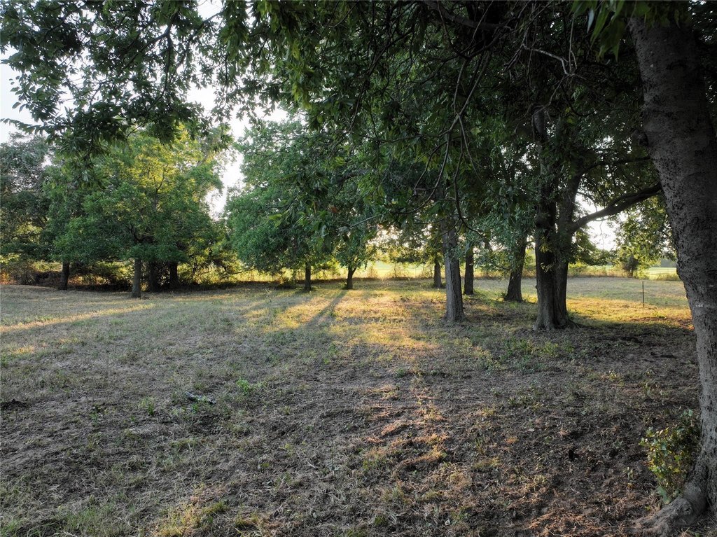 Picture 12