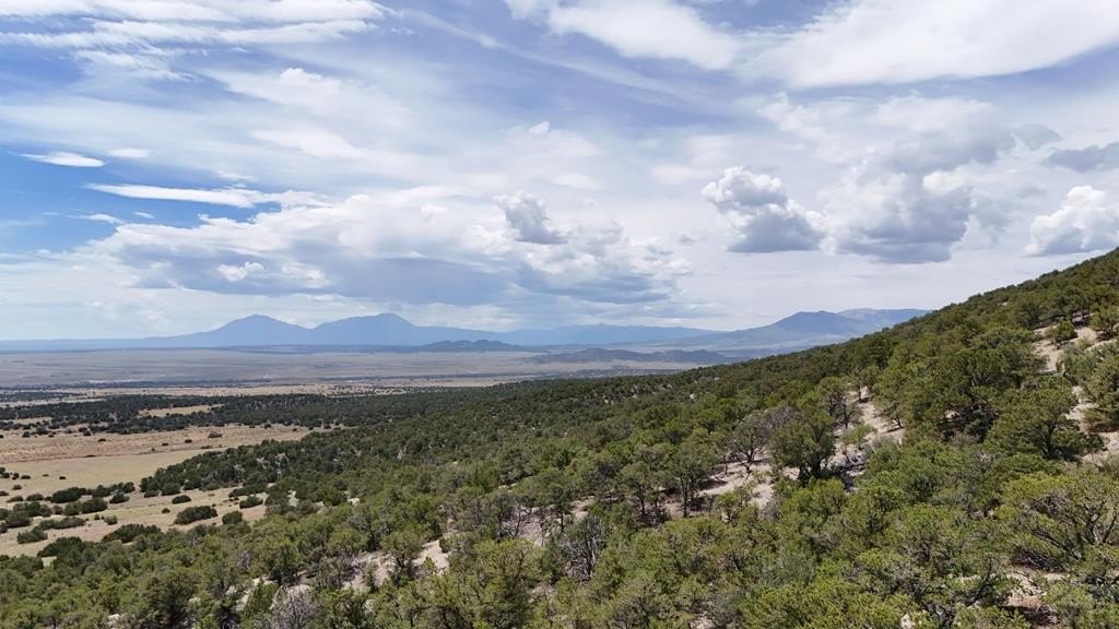 Walsenburg Land with BLM Access