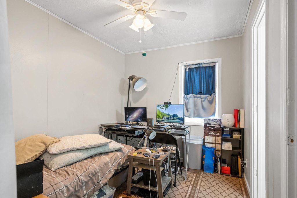Picture 21
