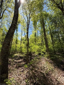 LAND - West Jefferson, NC