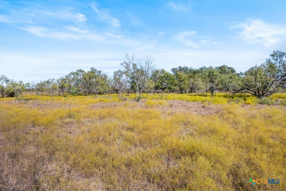82.6 Acres of Texas Land