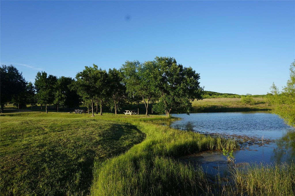 Picture 20