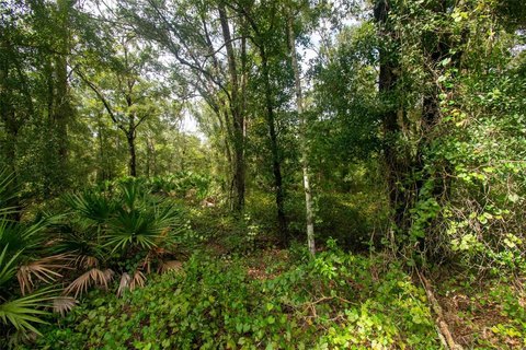 Land, HASTINGS, FL