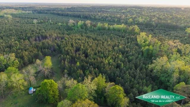 Pine Timberland Tract For Sale