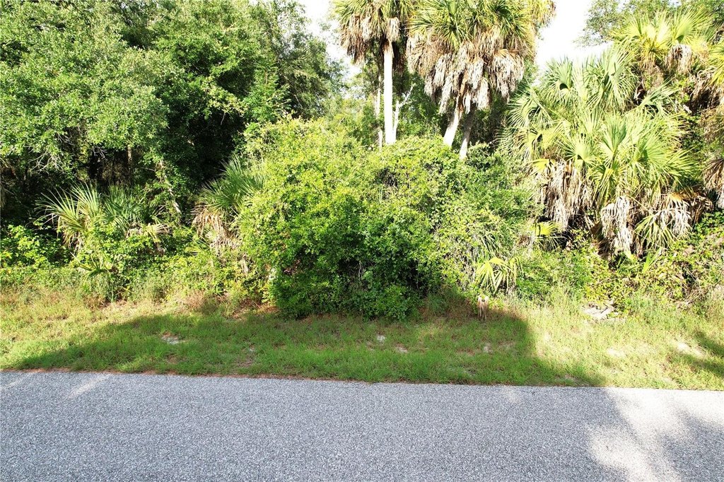 Picture 8