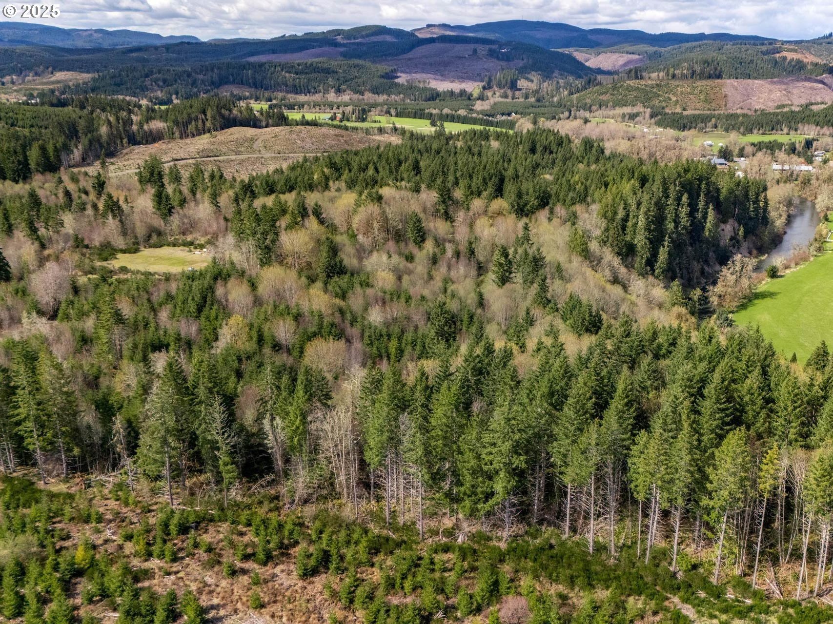 Oregon Timberland Investment Opportunity