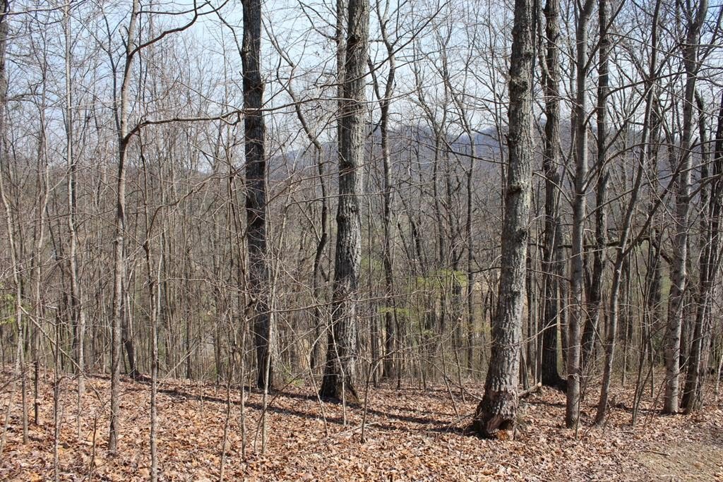 Hayesville Vacant Lot in Community