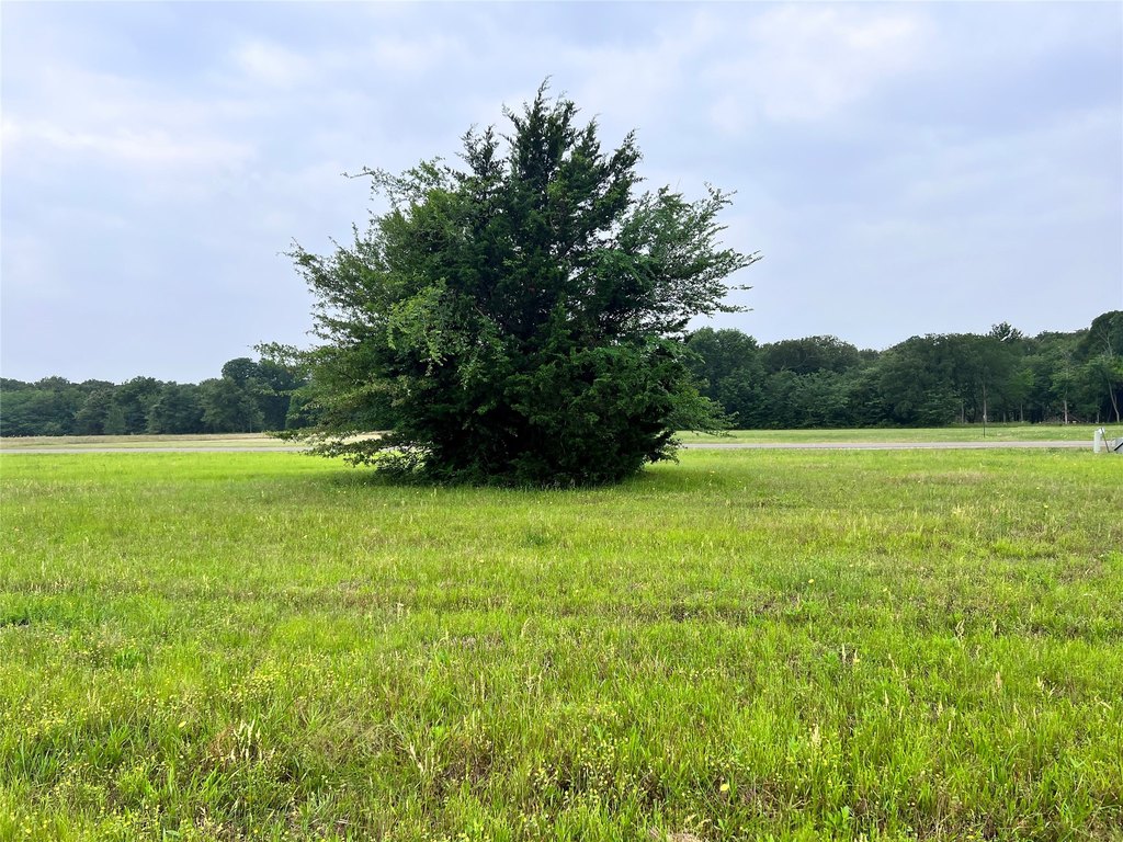 Picture 7