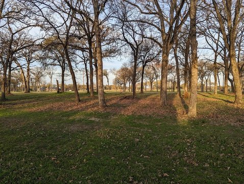 Golf Course Lot in Kemp