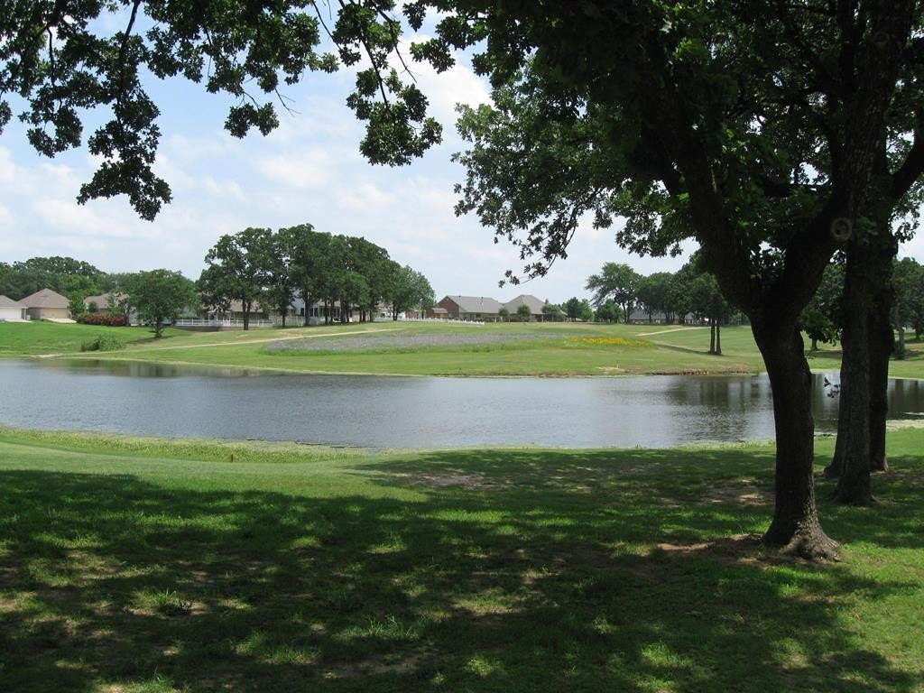 Picture 28