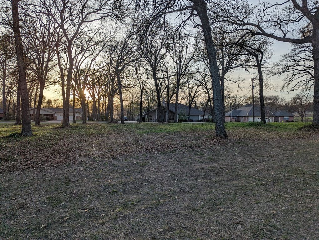 Picture 10
