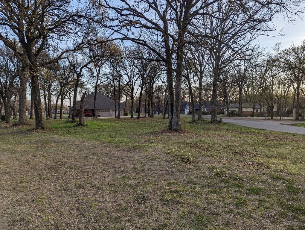 Picture 11