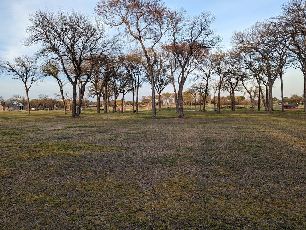 Picture 18