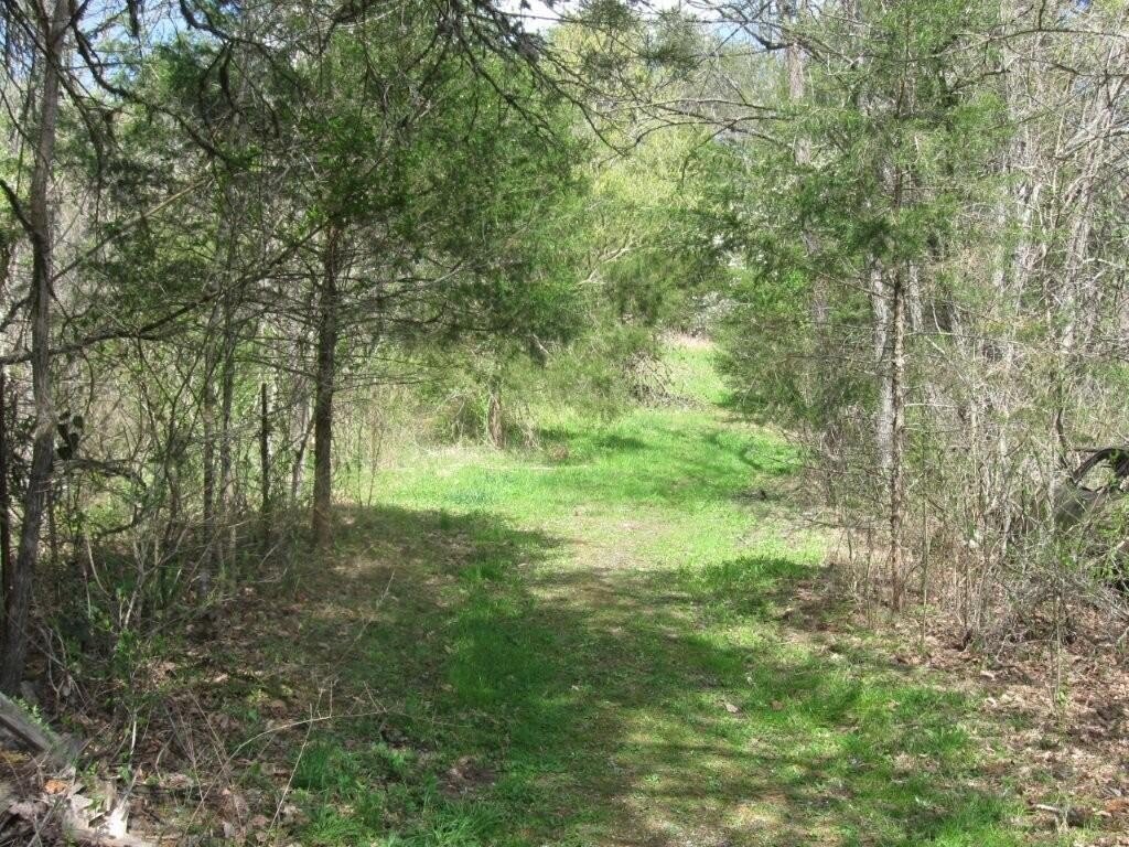 Picture 10