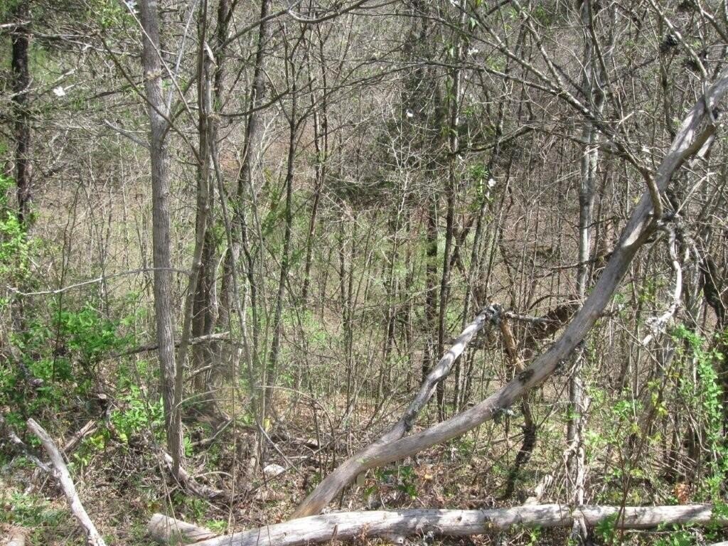 Picture 7