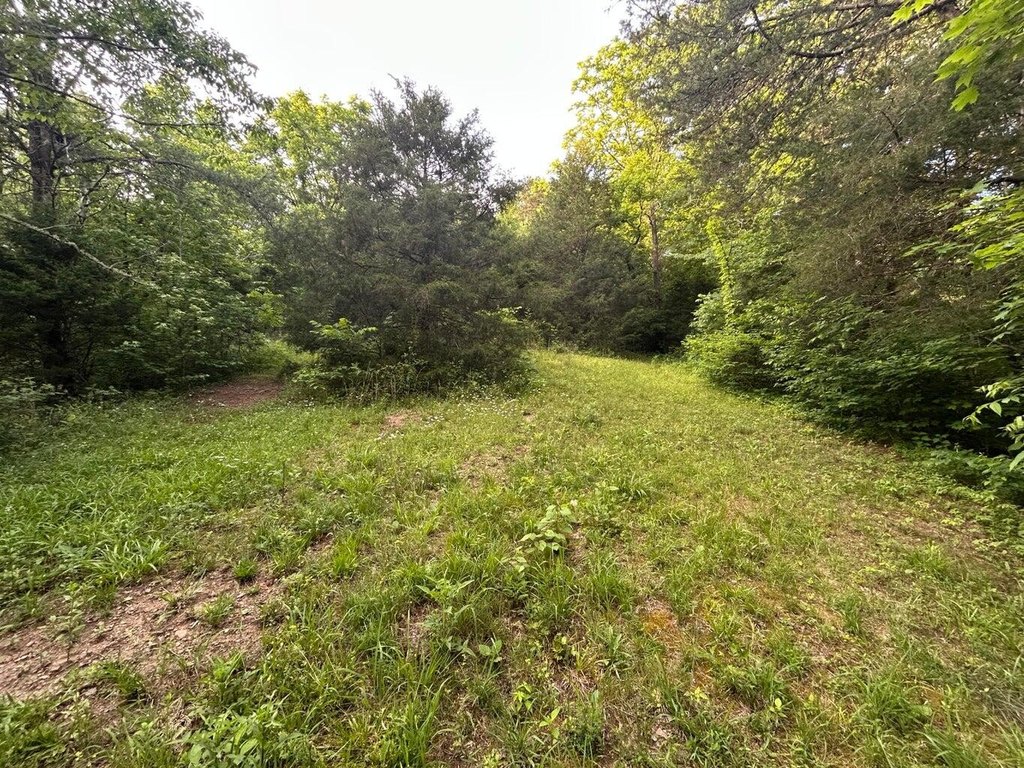 Picture 53