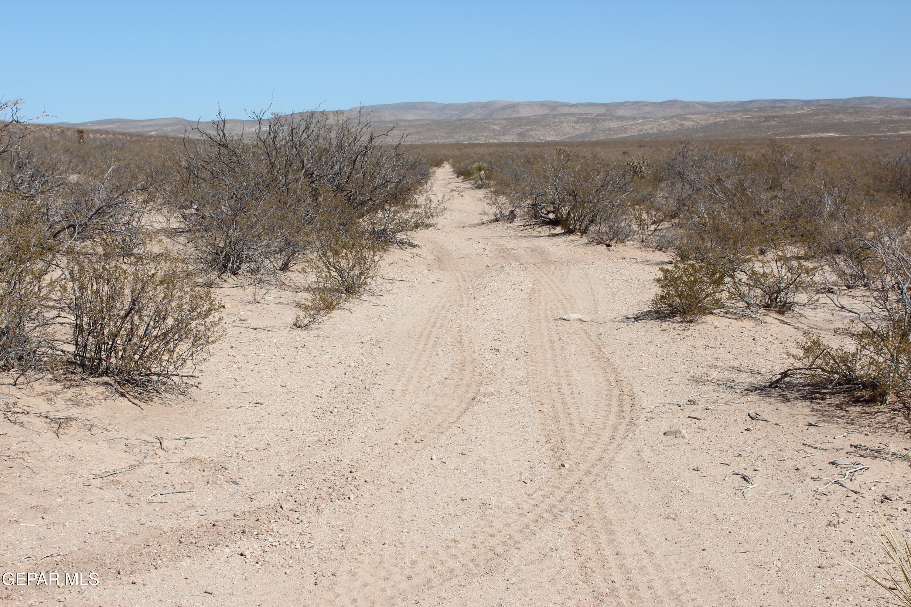 49 Acres Raw Land, Van Horn