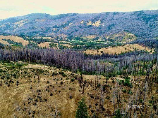 Ruth, CA Land Parcel