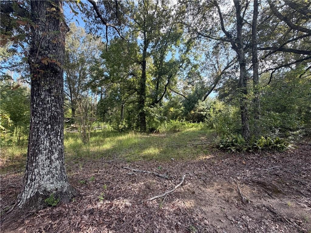 Picture 3