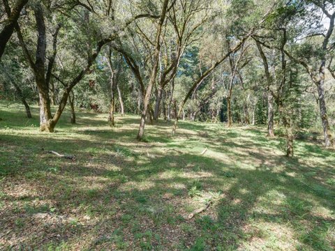 Serene 34.4 Acre Carmel Valley Land