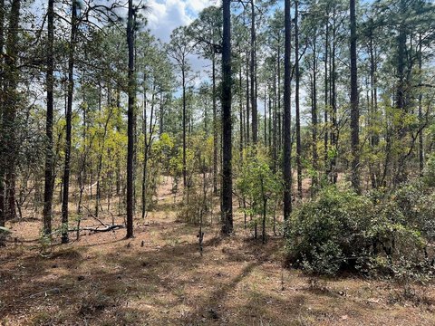 Wooded Rolling Farmland Parcel