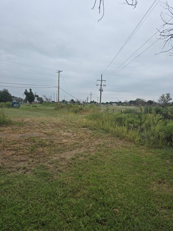 Picture 7