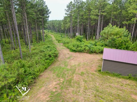 Pine Plantation Farmland with Creek Frontage