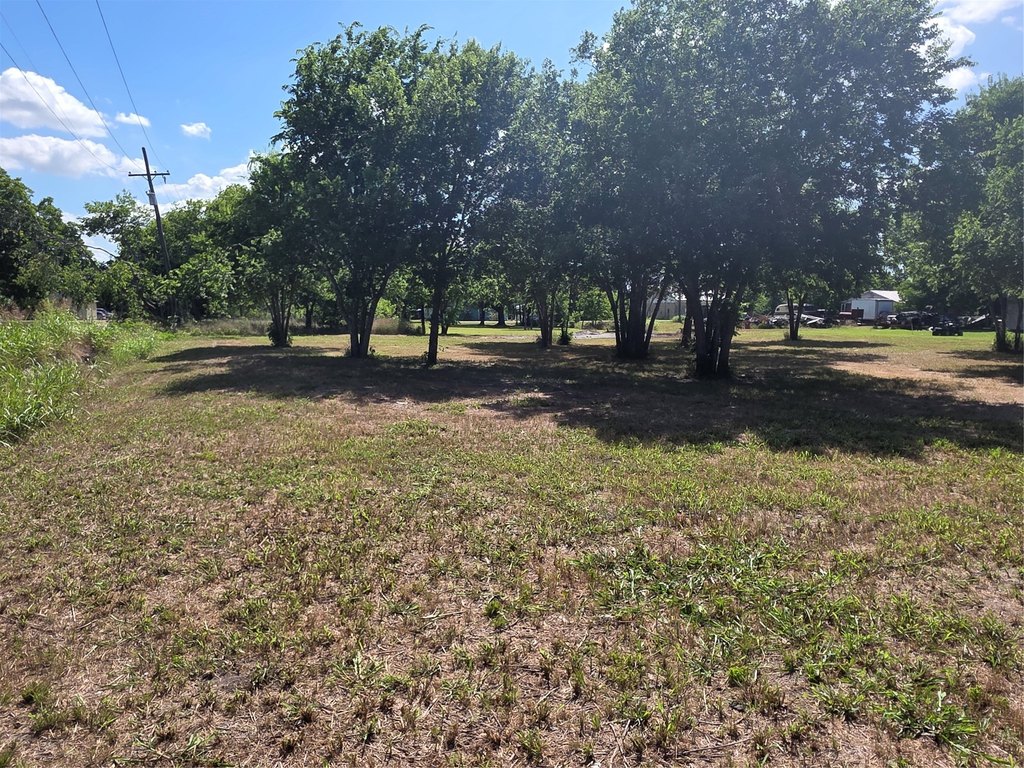 Picture 15