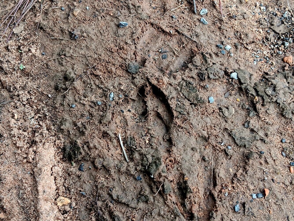 Picture 11