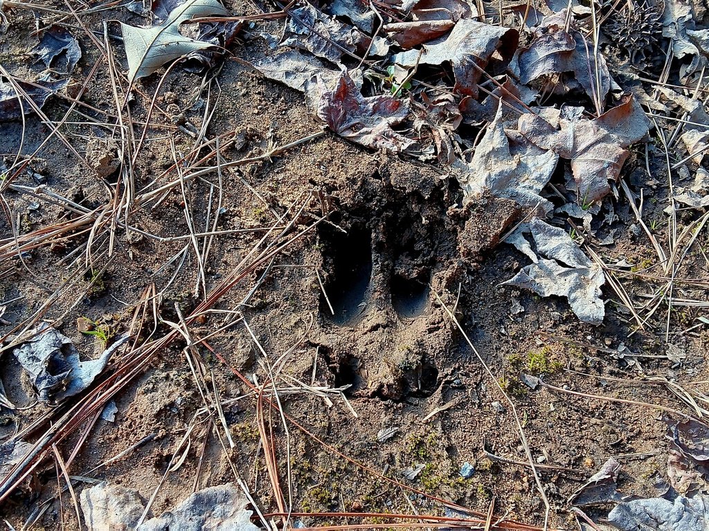 Picture 14