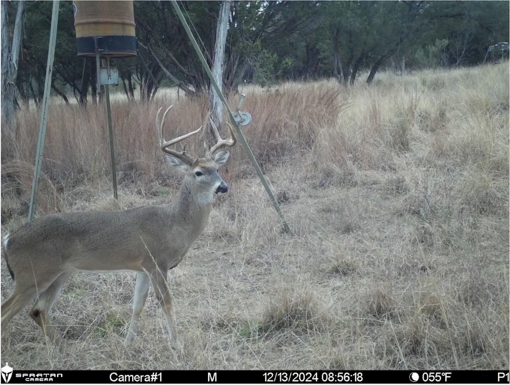 Picture 21