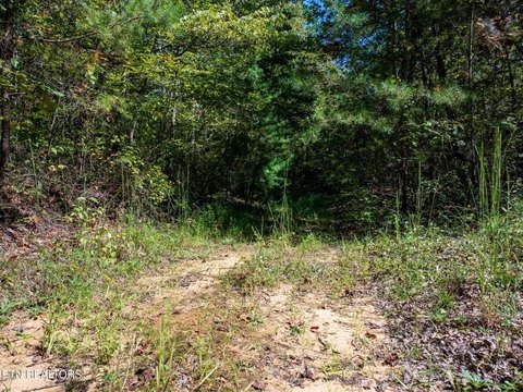 61 Acres of Tennessee Land