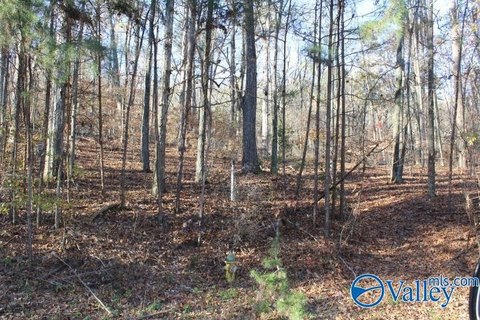 Land, Guntersville, AL