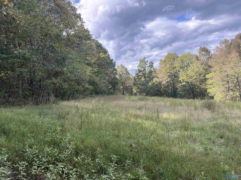 Land, Scottsboro, AL