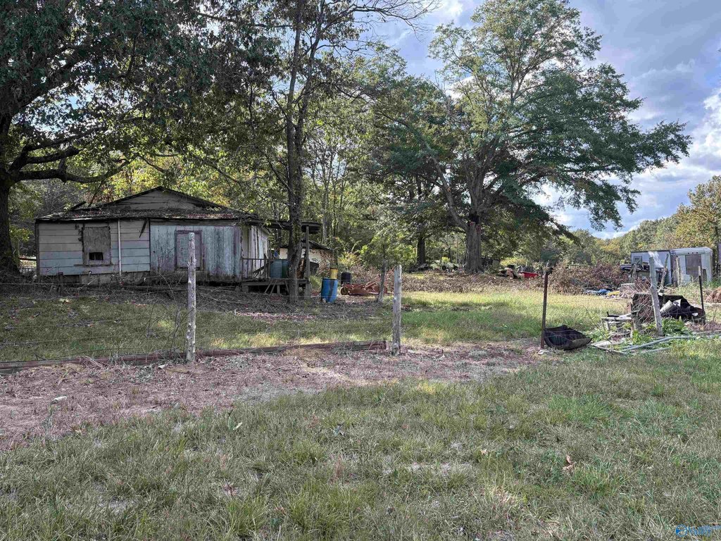 Picture 19