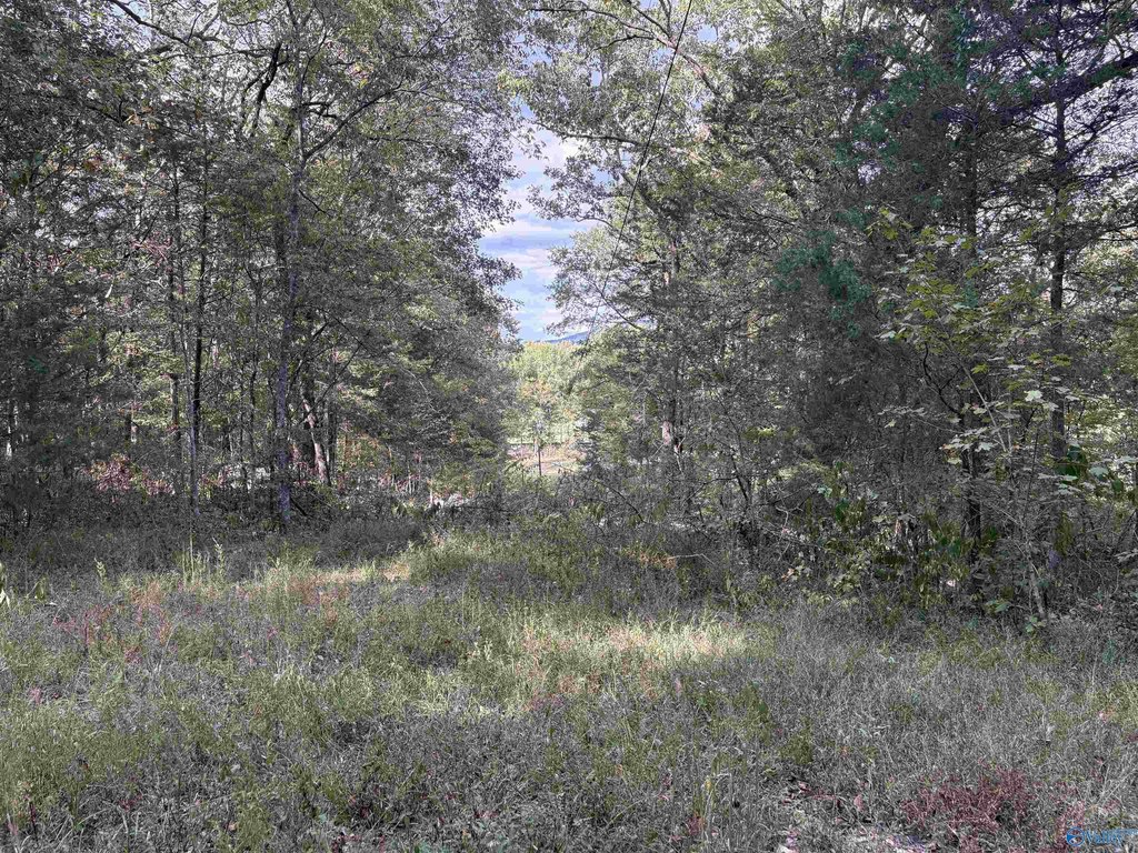 Picture 42