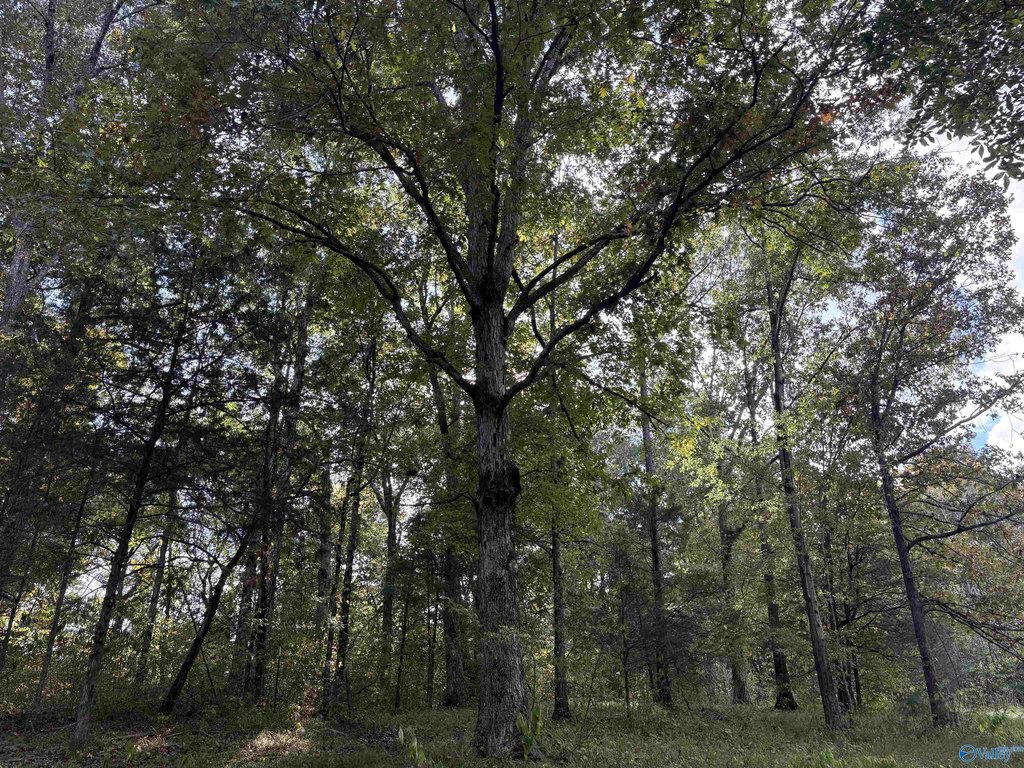 Picture 32