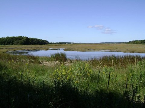 Parksley, VA Homesite on Marsh