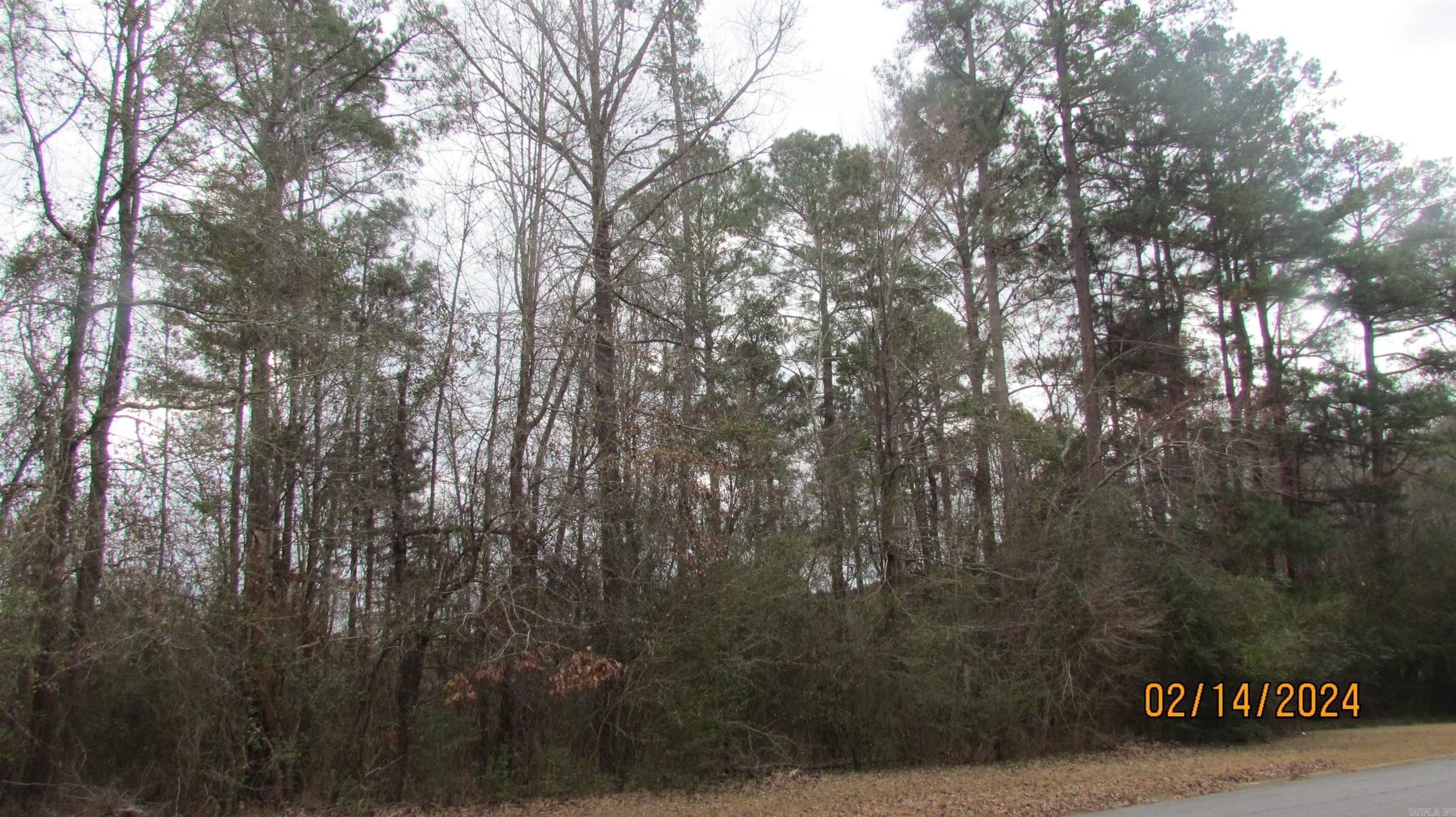 40 Acres of Timberland