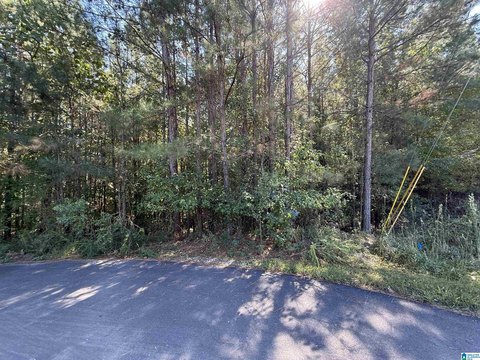 Odenville Acreage: Build Your Dream