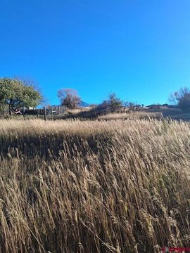 LAND, La Veta, CO