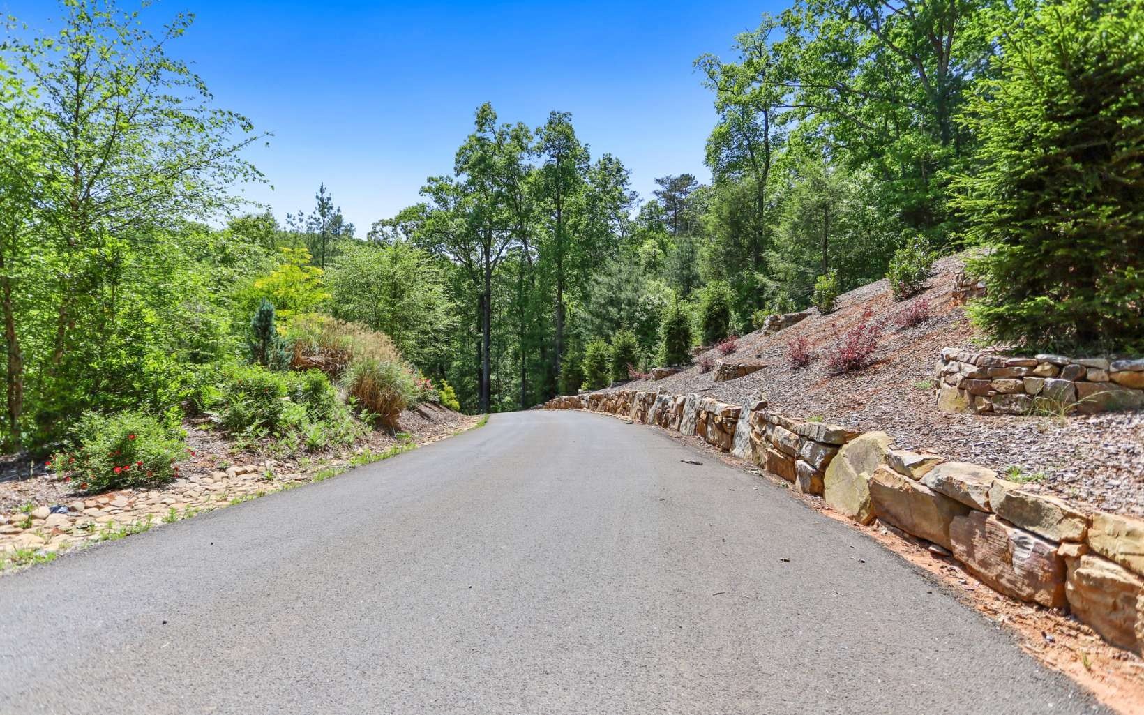 Blue Ridge Estate Sized Lot