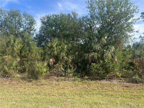 Port Charlotte Land, Not Flood Zone