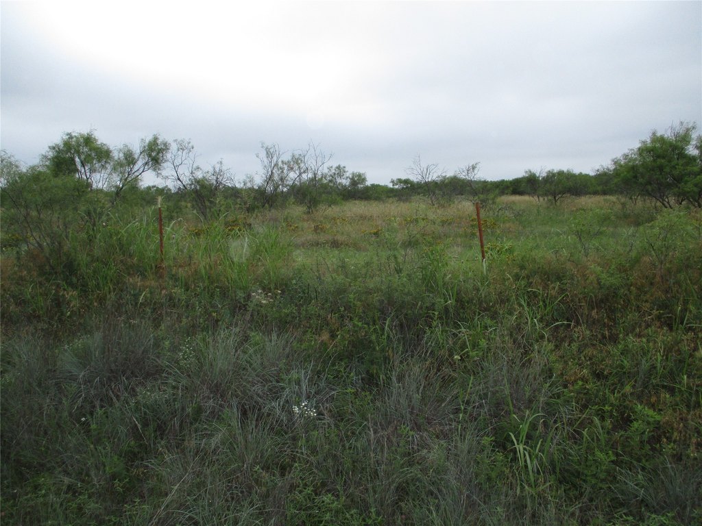 Picture 7