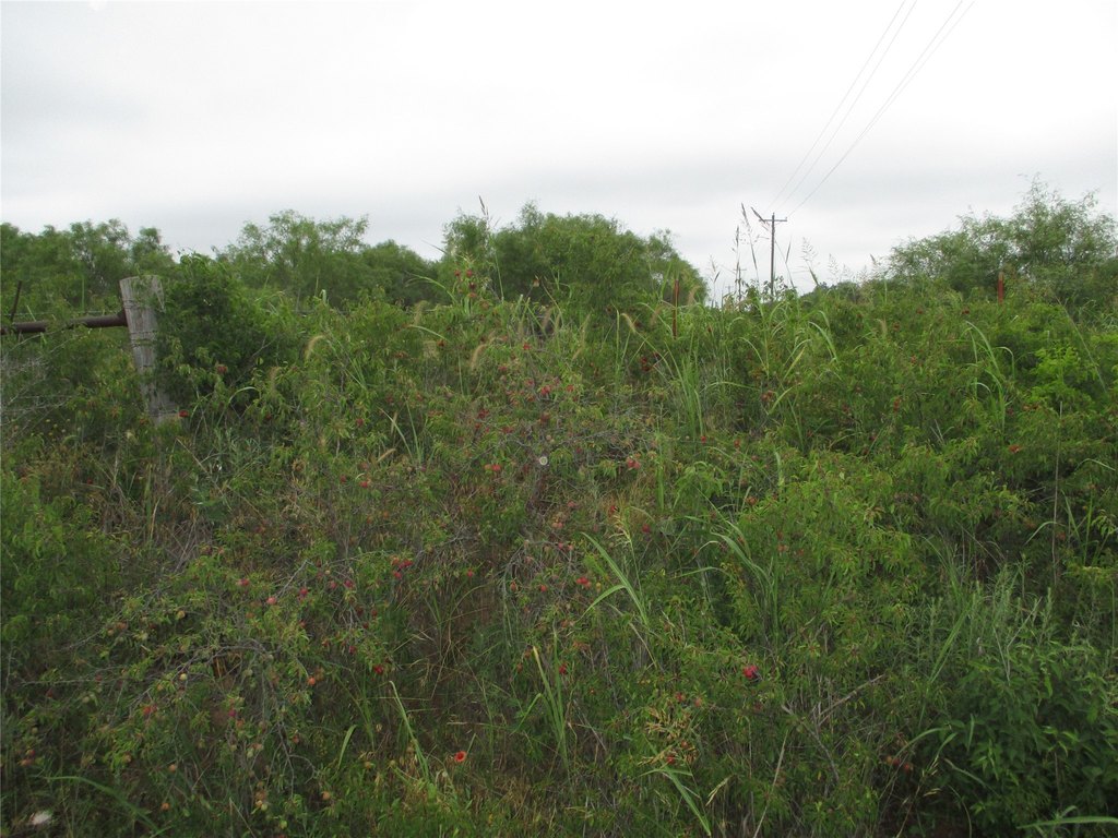 Picture 8