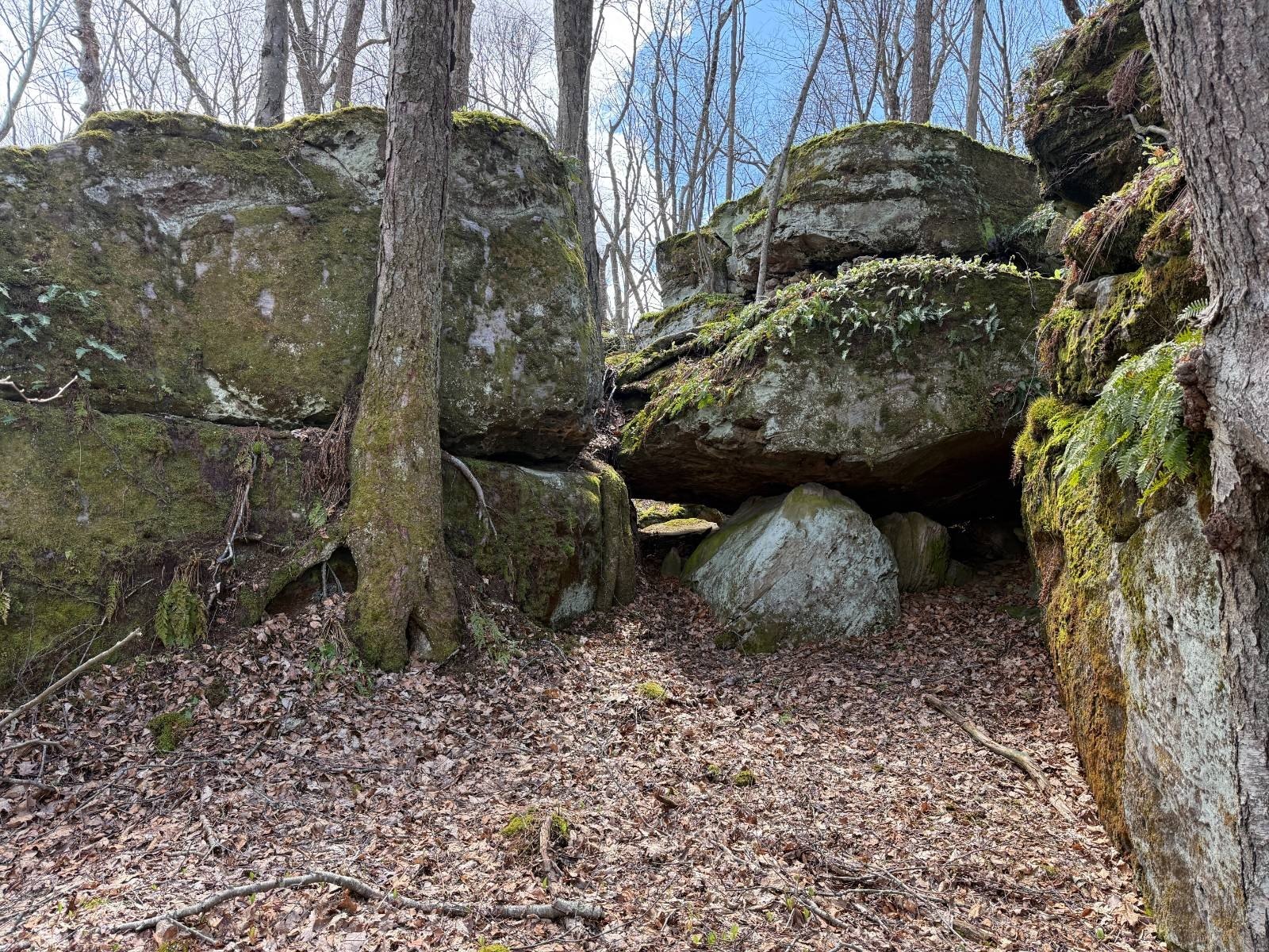 Secluded Land Overlooking Allegheny Valley