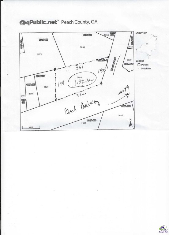 Picture 8